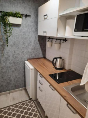 Apartament Orłowska